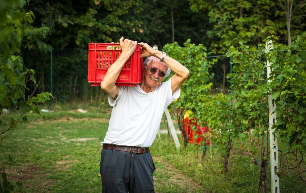 produzione e vendita vini rari torino Almese